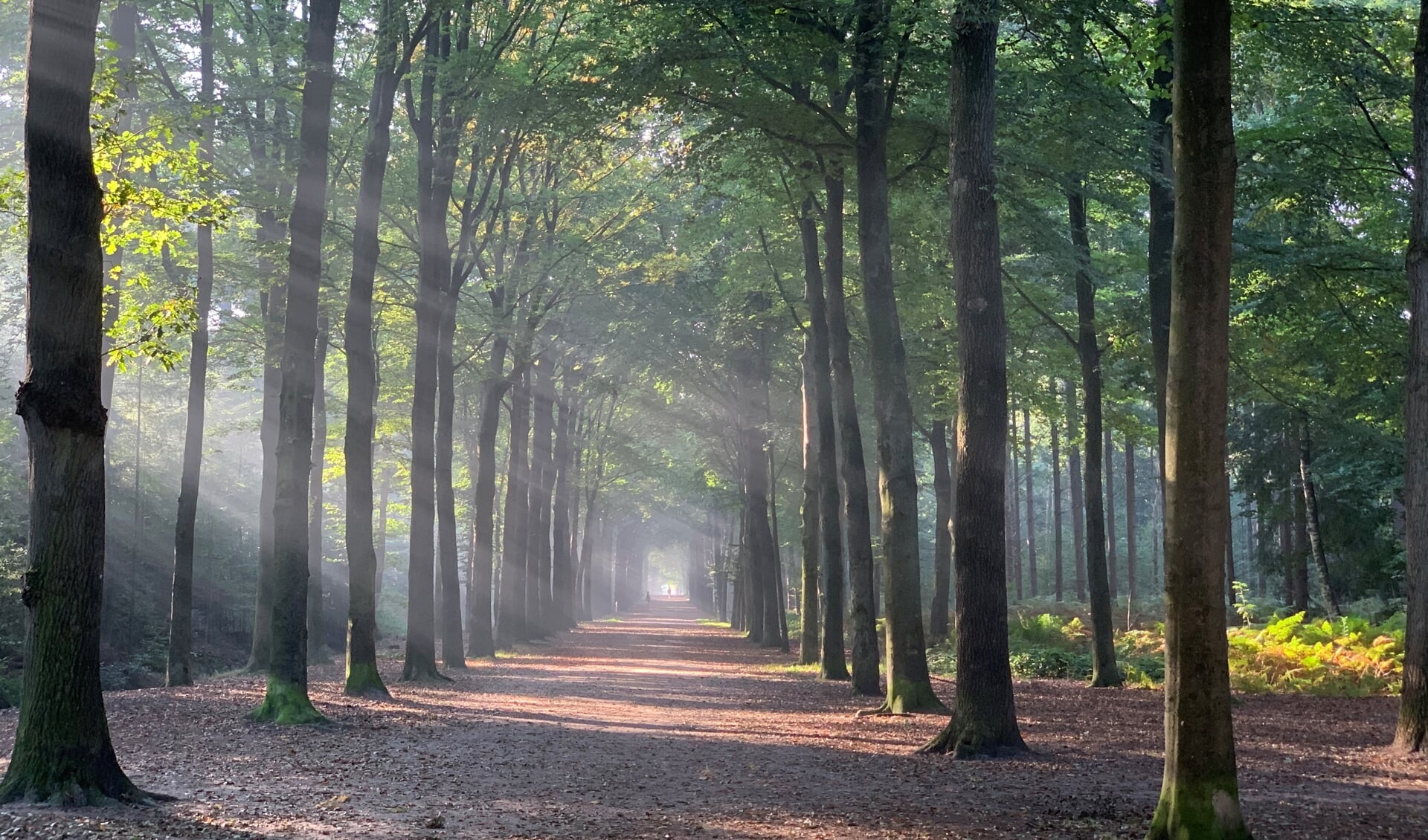 background background